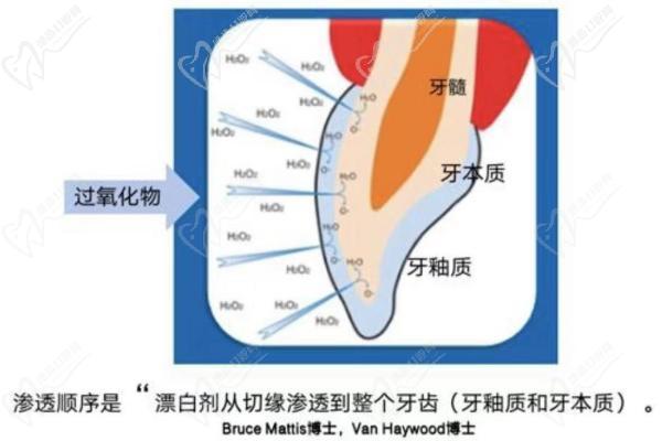 漂白劑美白原理