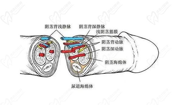 24小時(shí)男科在線咨詢平臺(tái)在線問診