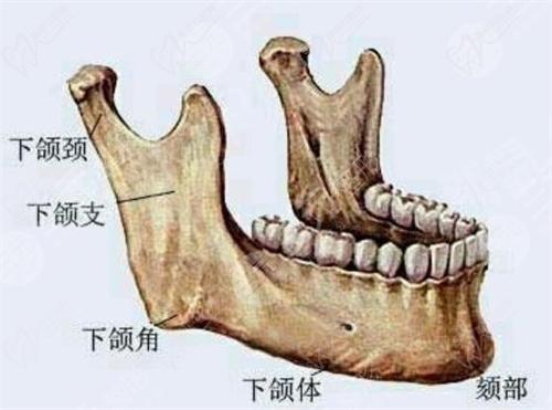 付國友磨骨的技術(shù)不差